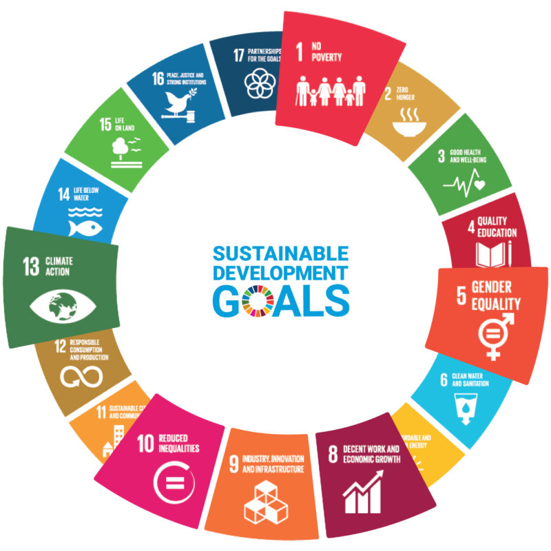 Solutech SDG Topics