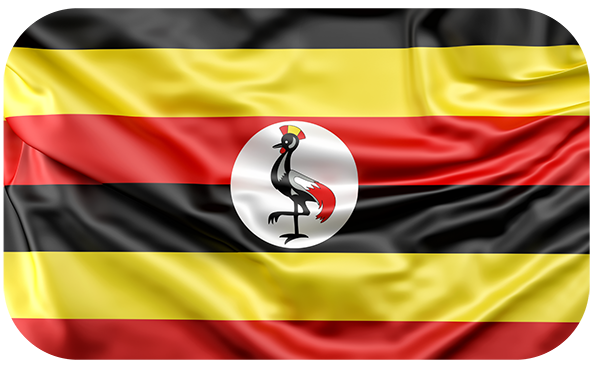 Solutech in Uganda